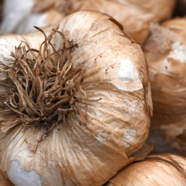 Knoblauch geräuchert 1/2 KG- Zopf/ Strang